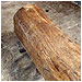 Finished and Waxed Oak Beam